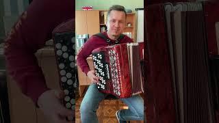 Баян еле справляется)) #баянист #музыка   #гармонист #песня #каверхит