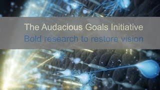 The NEI Audacious Goals Initiative: Bold Research to Restore Vision