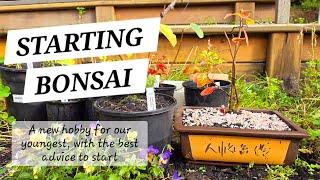 STARTING BONSAI... with some fantastic advice for a beginner