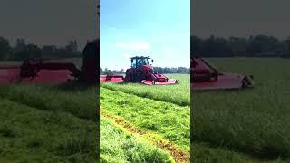 Sharp Cuts, Clean Fields!  #Mowing #shortsfeed #automobile #shortvideo #farming