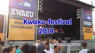 kwaku-festival 2014 by Abo