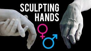 Male vs Female Hand Anatomy for Sculptors