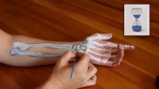 Anatomy Tutorial: UNDERSTANDING CARPAL TUNNEL SYNDROME