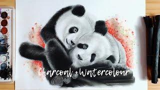 Drawing "Pandas" (Charcoal+watercolour) | Siddhant's Artwork