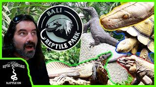 TOURING THE BALI REPTILE PARK WITH @WickensWickedReptiles