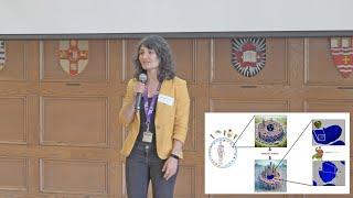 Aysegul Yucel-Polat | Postdoc 120-Second Research Sprint -- May 16, 2024, Western University