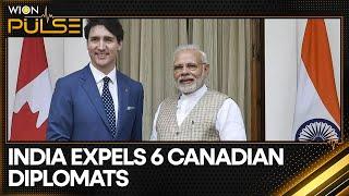 India Expels 6 Canadian Diplomats, Recalls Indian Envoy to Canada | Latest English News | WION Pulse