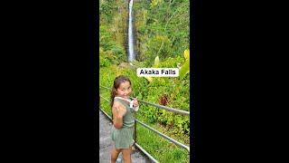 Akaka Falls Waterfall in Hawaii. I laugh every time I hear Akaka :) #kona #Hilo #hawaii #waterfall