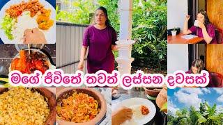 My Day Vlog |ලස්සන දවසක් ගෙවුන විදිය #vlogger #minivlog #vlog #cooking #mealprep #dayinmylife #day