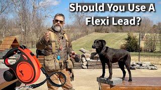 Are Flexi Leads (Retractable Leashes) Good For Dog Training?