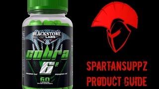 Blackstone Labs Cobra 6p Fat Burning Supplement Guide | Spartansuppz.com