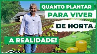 QUANTAS UNIDADES PRECISO PRODUZIR PARA VIVER DE HORTALIÇAS!