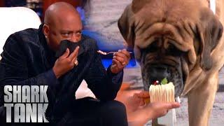 Shark Tanks US | Daymond John Tastes Dogue's Delicious DOG FOOD!