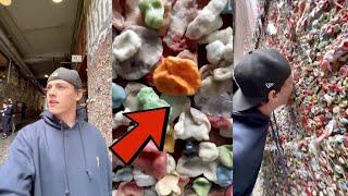 So happy I found his gum...   - #Shorts