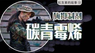 她冲上去死命缠住敌人：阿莫大哥,快过去吧,我掩护你!【抗生素的故事⑪-碳青霉烯与酶抑制剂】