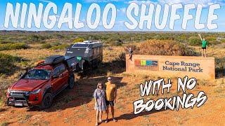 4 Camps in 1 week (doing what it takes) | The Ningaloo shuffle | Ep95