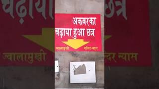 Jwala Devi Mandir | Akbar ka Chatar #shorts #jwala #ytshorts #viral #jwalamukhi #akbar #viralshorts