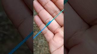 how to tie a STREN KNOT #fishing #fishingknot #fishinglife #fishingtips #tutorial #knot