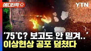 [에디터픽] 전 세계 덮친 이상기후 현상 '떼죽음' 공포까지..“올해 최악일 듯” 무서운 경고 나왔다 / YTN