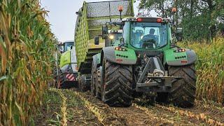 Modderen in de mais - Harvesting maize in mud - BMWW - Claas Jaguar 940 - Mais hakselen - Kukurydza