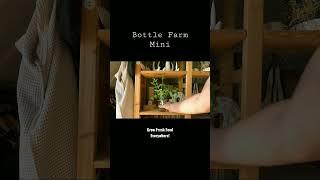 Tech Junkie: Bottle Farm Mini -grow fresh food anywhere!