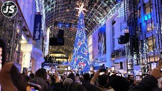 The Underground PATH & Eaton Centre Christmas Tree Unveiling (Nov 2024)