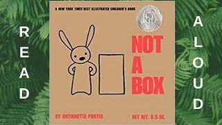 Read Aloud: Not A Box by Antoinette Portis