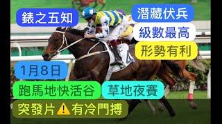 1月8日 突發片️有冷門搏 跑馬地快活谷草地夜賽 錶之五知 級數最高形勢有利｜賽馬貼士​​​​​​​｜賽馬賠率​​​​​​​​​​​​​​​​​​​｜谷草夜賽