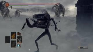 Mimic vs Nameless King and Assassins... Prepare for Fun!