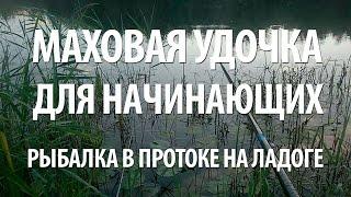 МАХОВАЯ УДОЧКА для НАЧИНАЮЩИХ. РЫБАЛКА в ПРОТОКЕ на ЛАДОГЕ МАХОВОЙ УДОЧКОЙ