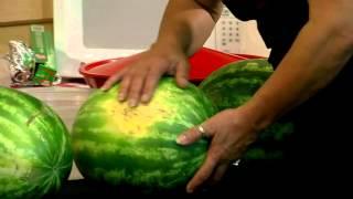 How To Pick the Perfect Watermelon