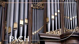 Bach - Concerto in A minor BWV 593 - Smits | Netherlands Bach Society