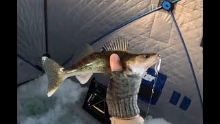 Jigging in a Walleye Nursery - Pasqua Lake