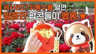 [알럽eat] 세상 커여운 레서판다 얼굴을 살포시 들면 맛있는 팝콘이!? | 에버랜드 레서판다 팝콘통