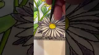 Inktense Pencils How to On Fabric: Coloring Flower Petals Part 1