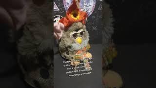 Tuesday night esoteric moment with Furby