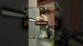  I Made Phoenix DC 
