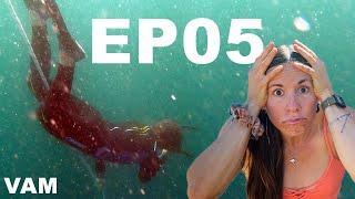 I failed my freediving course - plus, an epic van life festival in Mexico - VOLVER A MÉXICO EP05