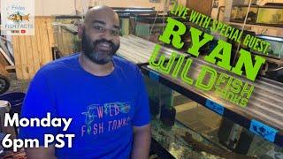 Talking breeding Fish for Profit with Ryan of WILD FISH TANKS