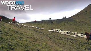 Island - Der große Schafabtrieb (360° - GEO Reportage)