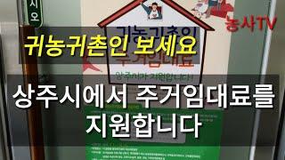 귀농귀촌 정보- 상주시에서 주거 임대료를 지원합니다.[농사TV]