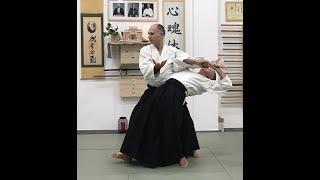 Fenice Rossa Grottaglie - Chi siamo, dove siamo, cosa facciamo: 8) Aikido