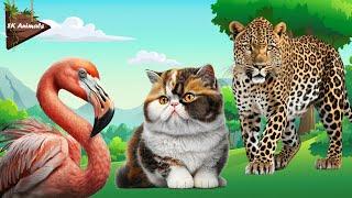 Cutest Animal Sounds Around the World: Flamingo, Cat, Leopard, Tiger, Hippo