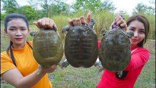 Cook turtle soup and roasted with salt recipe - Amazing cooking