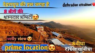 8 बीघे की शानदार प्रॉपर्टी|new land in dehradun| #viralvideo #indain #dehli #hariyana #bharat #new