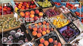 Vlog. 네덜란드 유럽 교환학생의 집 주변 탐색 및 장보기 ㅣ델프트 교환, 윰보 Jumbo 마트, 액션 Action 쇼핑, 납작복숭아 깎아먹기