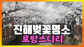 진해 벚꽃 명소인 로망스 다리