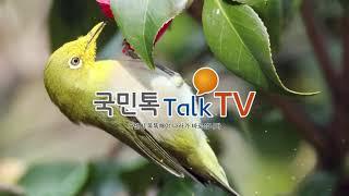 동박새의 꿀 잔치 [국민톡톡TV]