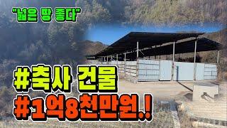 축사+넓은 땅 매매. 산 아래 양지 바른 곳에 생활 터전을 만들어 보세요.! [매물704]