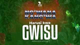 Ng'wana Kang'wa - Harusi Kwa Gwisu (Official Audio 2024)